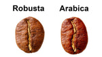 Чем отличается кофе арабика и робуста